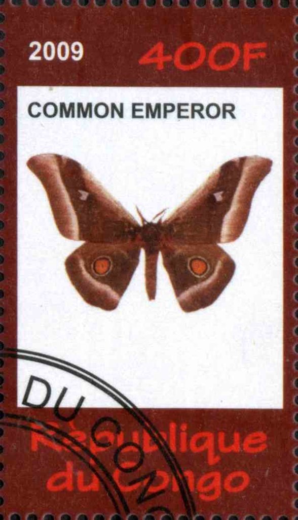 Common Emperor