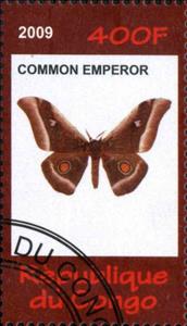 Stamp, Common Emperor, Cinderellas,  , Animals (Fauna), Butterflies, Insects