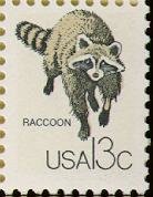 Stamp, Raccoon (Procyon lotor), United States of America,  , Mammals, Animals (Fauna), Raccoons