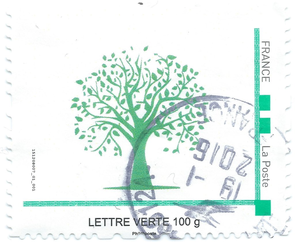 Arbre vert