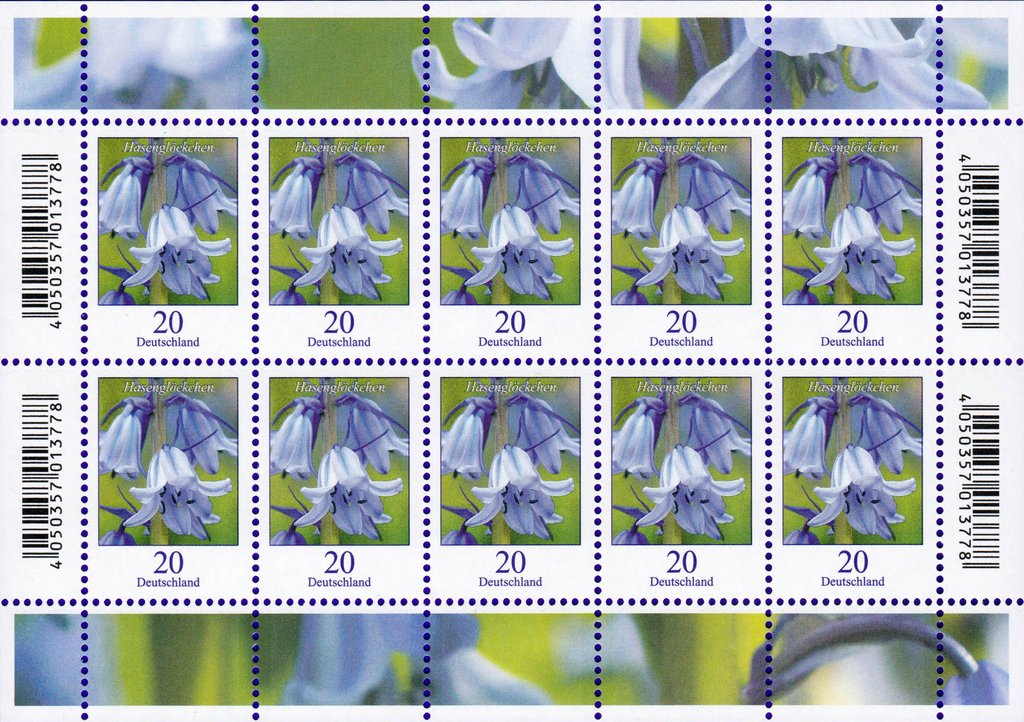 Flowers - Common bluebell (Hyacinthoides non-scripta)