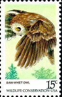 Stamp, Northern Saw-whet Owl (Aegolius acadicus), United States of America,  , Birds, Birds of Prey, Owls, Animals (Fauna)