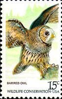 Barred Owl (Strix varia)