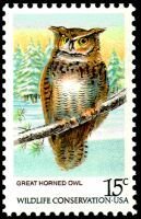 Great Horned Owl (Bubo virginianus)
