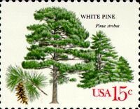 Stamp, American Trees:White Pine, United States of America,  , Trees, Plants (Flora)