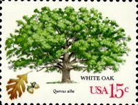 American Trees:White Oak