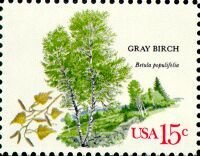 Stamp, American Trees:Gray Birch, United States of America,  , Trees, Plants (Flora)