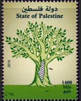 Olive Trees