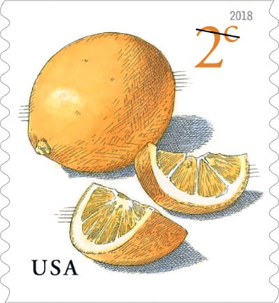 Fruit Definitive Series : Meyer Lemons