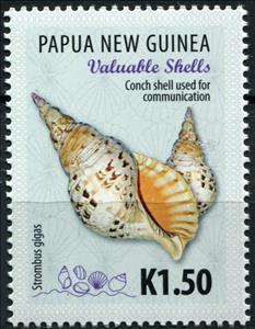 Stamp, Conche shell used for communication, Papua New Guinea,  , Animals (Fauna), Molluscs, Sea Life, Shells