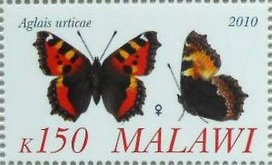 Aglais urticae