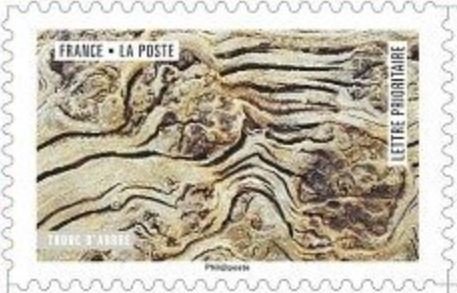 Stamp, Tree trunk, France,  , Trees