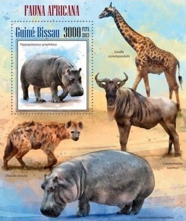 Hippopotamus