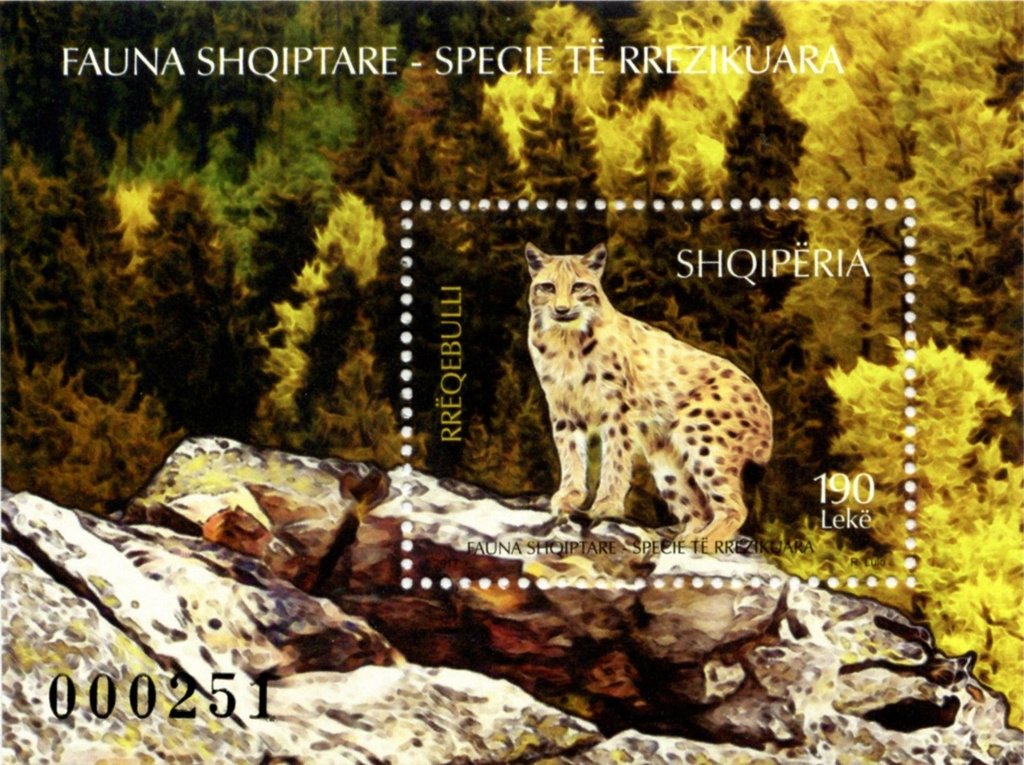 Lynx