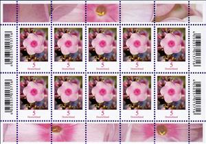 Mini Sheet, Flowers - Phlox, Germany, Federal Republic,  , Flowers, Plants (Flora)