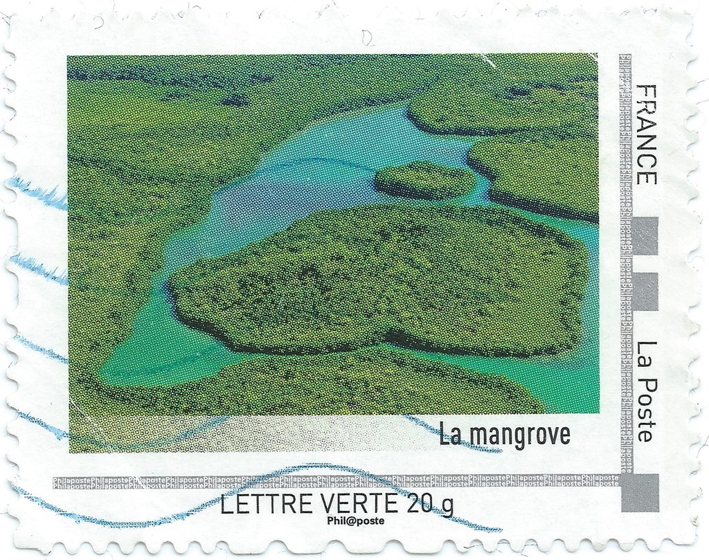 La Mangrove