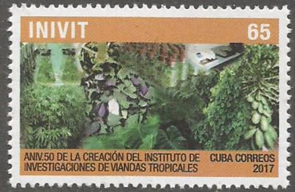 50th Anniversary of the Tropical Plant Institute