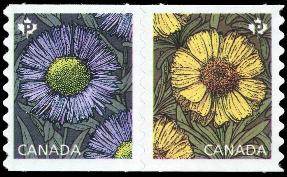 Daisies