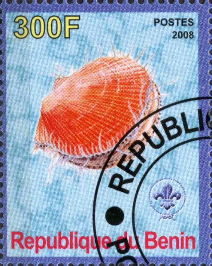 Coquillages et Coraux