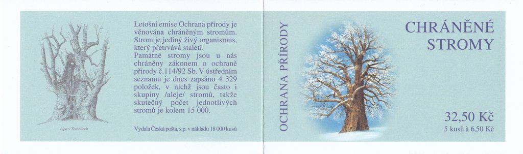 The Singing Lime Tree in Telecí near Polička