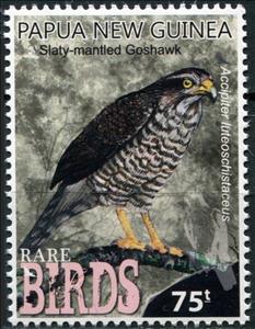 Stamp, Slaty-mantled goshawk (accipiter gentilis), Papua New Guinea,  , Animals (Fauna), Birds, Birds of Prey