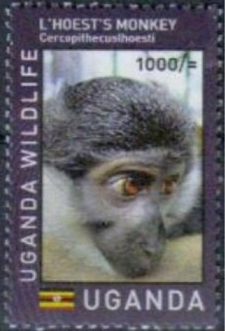 Ugandan Wildlife : Primates