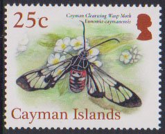 Cayman Clearwing