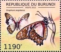 Graphium angolanus