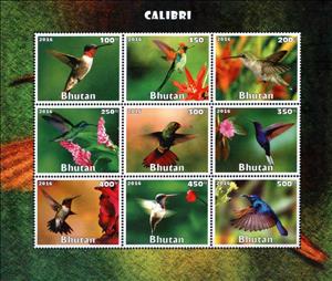Mini Sheet, Calibri, Cinderellas,  , Animals (Fauna), Birds