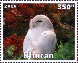 Stamp, Owl, Cinderellas,  , Animals (Fauna), Birds, Owls