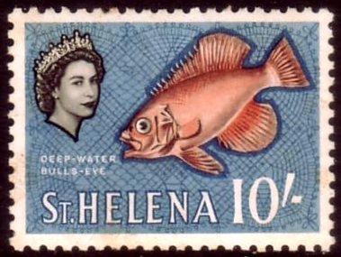 Deep-water Bulls-eye (Priacanthus boops)