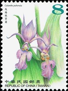 Stamp, Calanthe puberula, Taiwan (Republic of China),  , Flowers, Orchids, Plants (Flora)