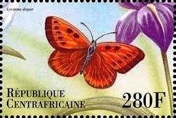 Stamp, Lycaena dispar, Central African Republic,  , Animals (Fauna), Butterflies, Insects