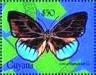 Stamp, Eunica sophonisba, Guyana,  , Animals (Fauna), Butterflies, Insects