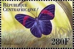 Stamp, Pereute leucodrosime, Central African Republic,  , Animals (Fauna), Butterflies, Insects