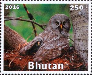 Stamp, Owl, Cinderellas,  , Animals (Fauna), Birds, Owls