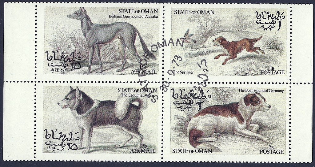 Dogs