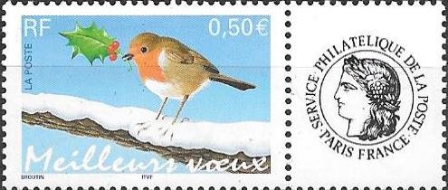 European Robin (Erithacus rubecula)