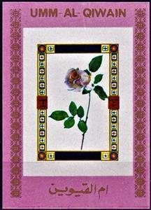 Mini Sheet, Rose, Umm al-Qiwain,  , Flowers, Plants (Flora), Roses