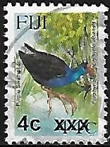 Purple Swamphen (Porphyrio porphyrio)