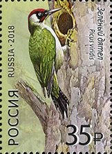 Stamp, Green woodpecker, Russia,  , Animals (Fauna), Birds, Woodpeckers