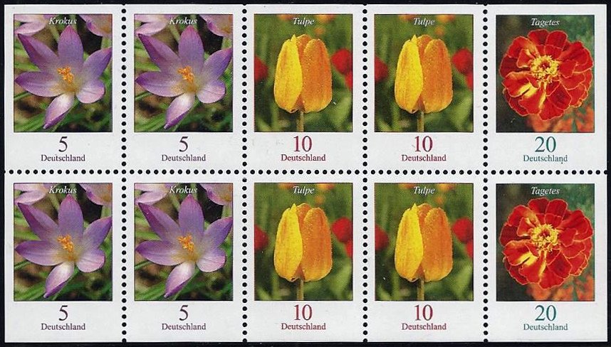 Flowers - Crocus+Tulip+Tagetes
