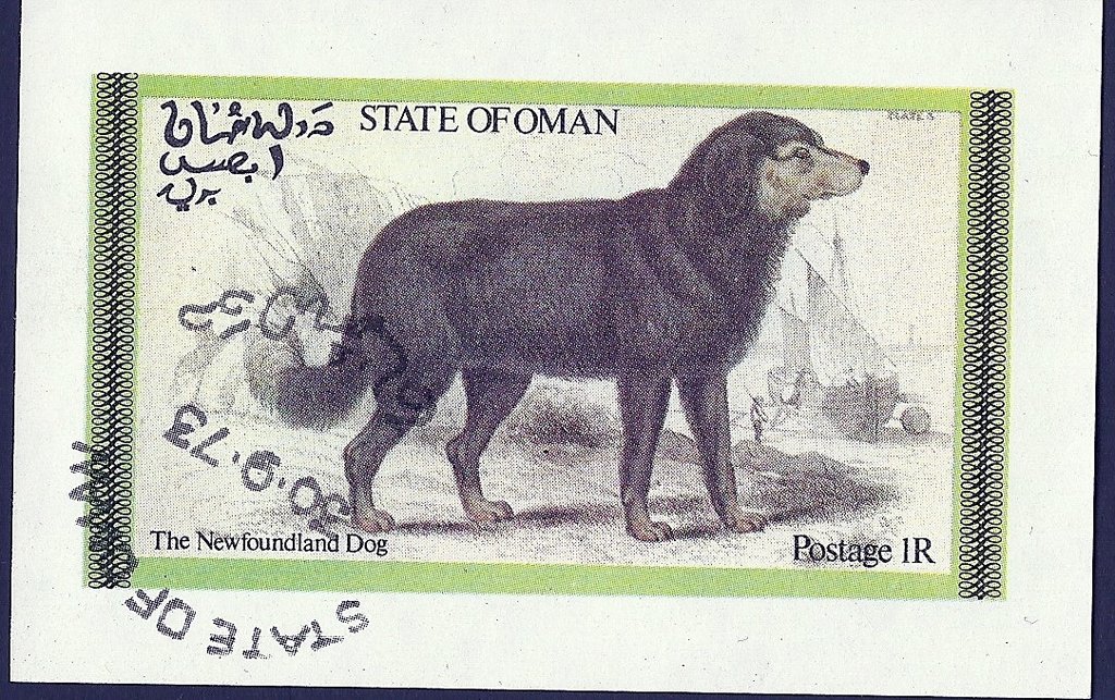 Dogs