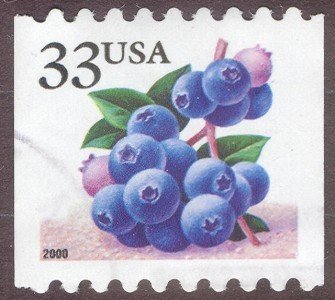 Fruit Berries: Blueberries