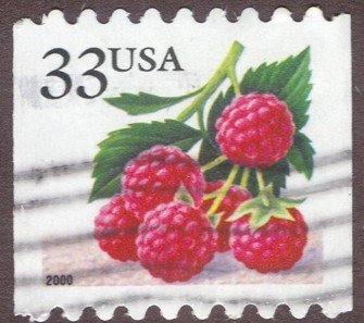 Fruit Berries: Raspberries