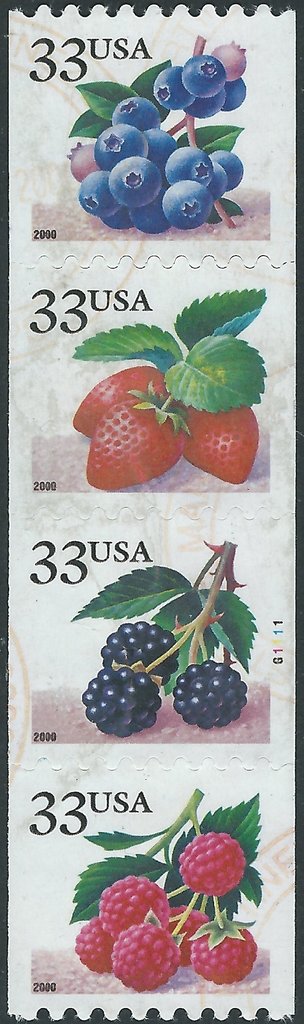 Fruit Berries