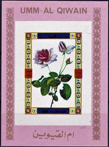 Mini Sheet, Rose, Umm al-Qiwain,  , Flowers, Plants (Flora), Roses
