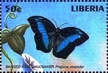 Stamp, Meander Prepona (Prepona meander), Liberia,  , Animals (Fauna), Butterflies, Insects