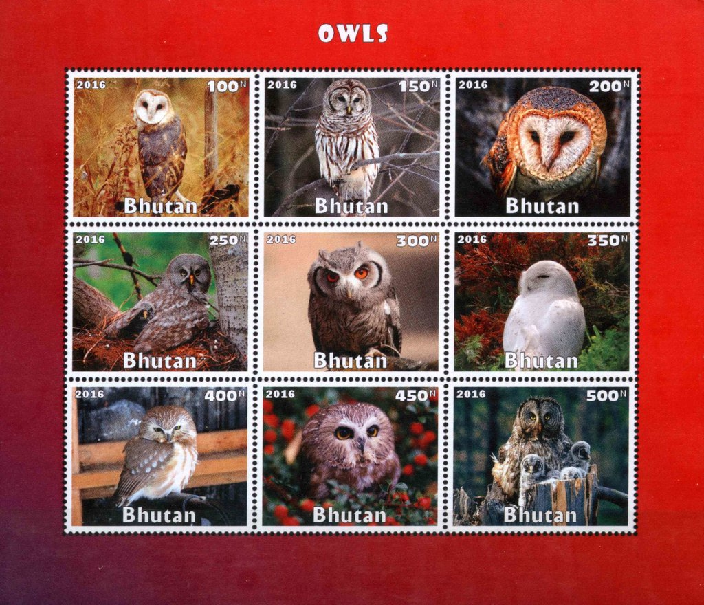 Owls