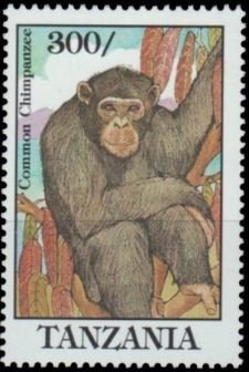 Stamp, Chimpanzee, Tanzania,  , Animals (Fauna), Apes, Mammals